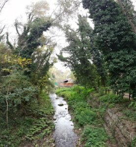 Lo scorrere del fiume