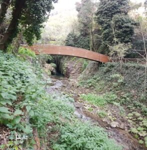 Il ponte nel Parco Fluviale